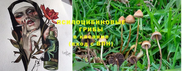 jwh Вязьма