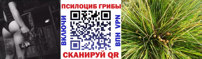 Купить  Ряжск  Галлюциногенные грибы MAGIC MUSHROOMS 