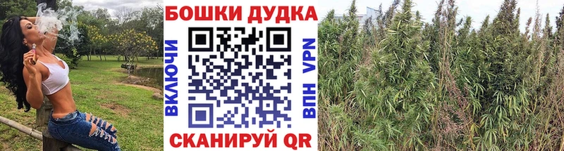 Купить закладки  Ряжск  Бошки марихуана SATIVA & INDICA 